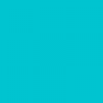 Turquoise  + 10,00TL 